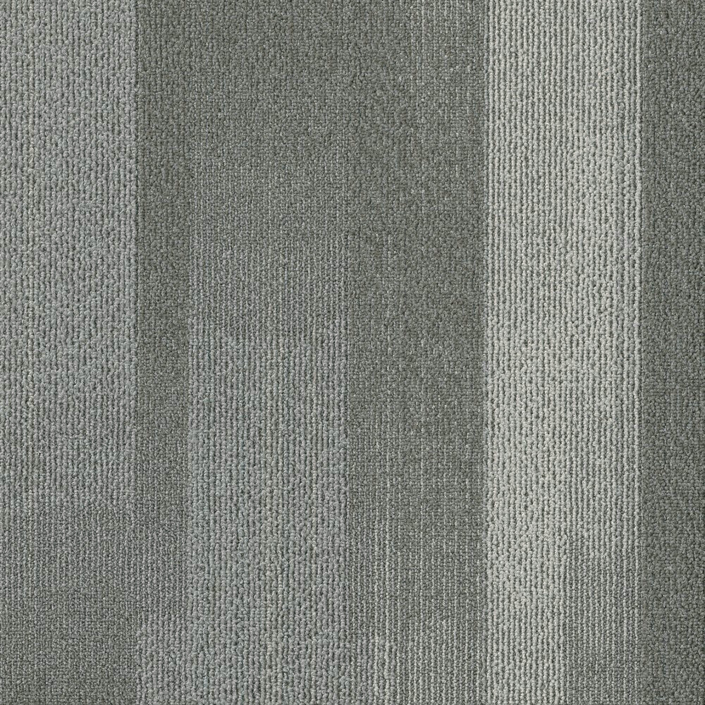 Panoramic Carpet Tile & Plank