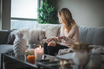 Tricks and Advice about maintaining a stylist home with pets