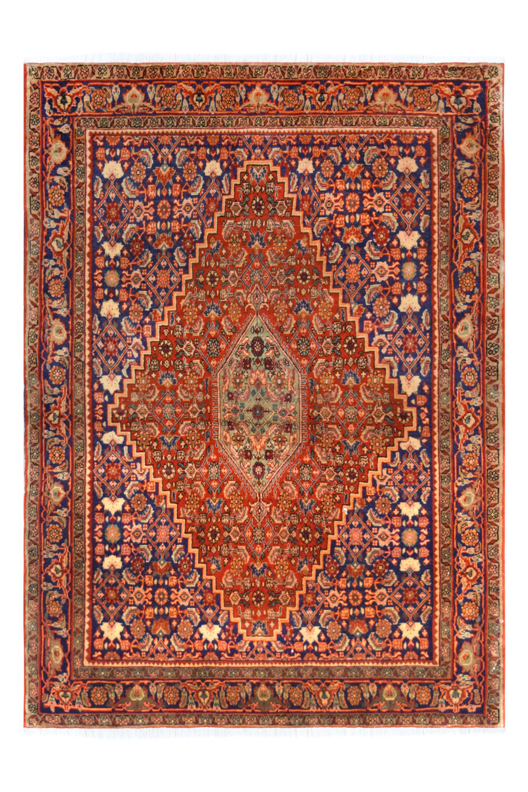 Bijar Medallion Herati Rust Rug