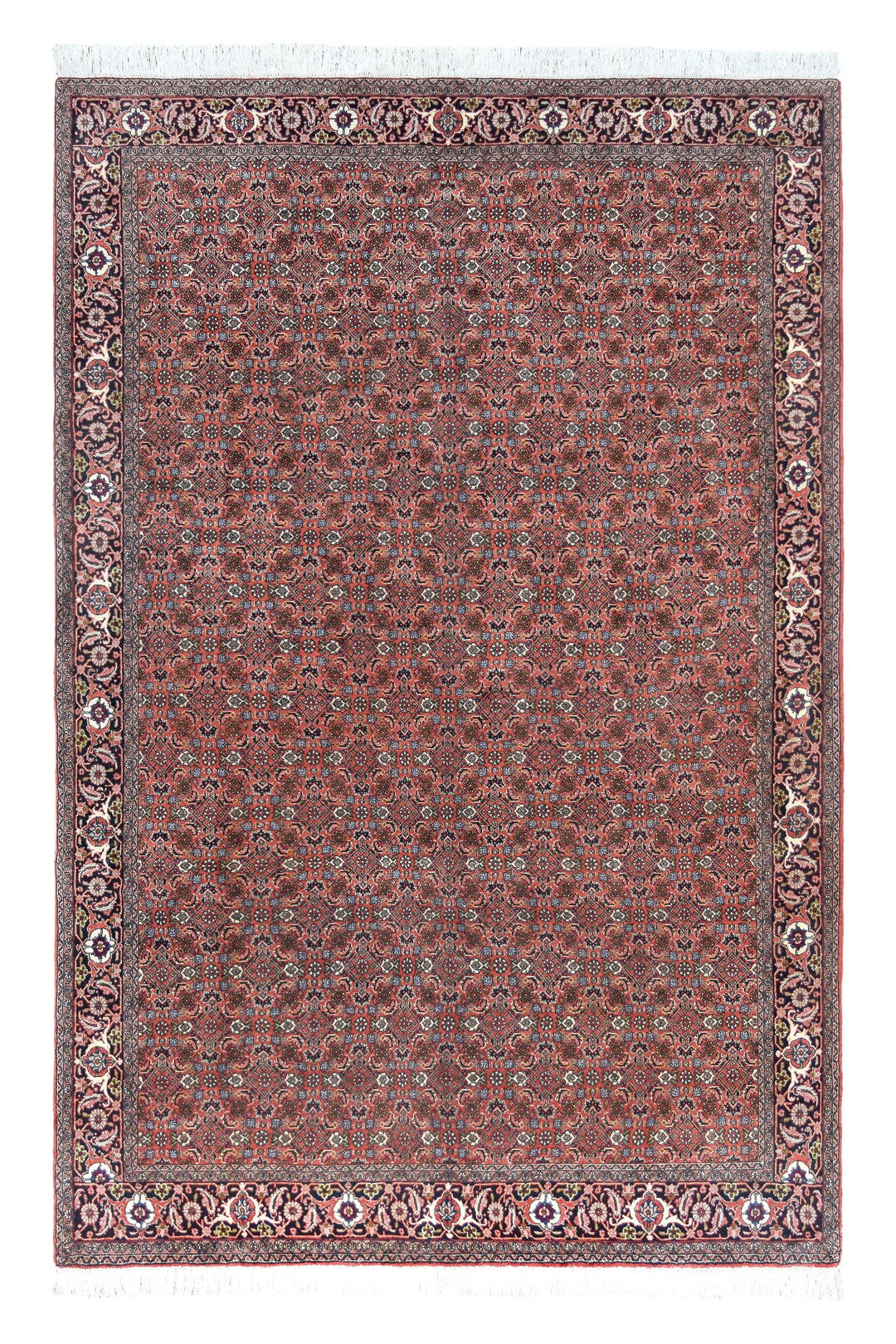 Bijar Herati Rust Rug