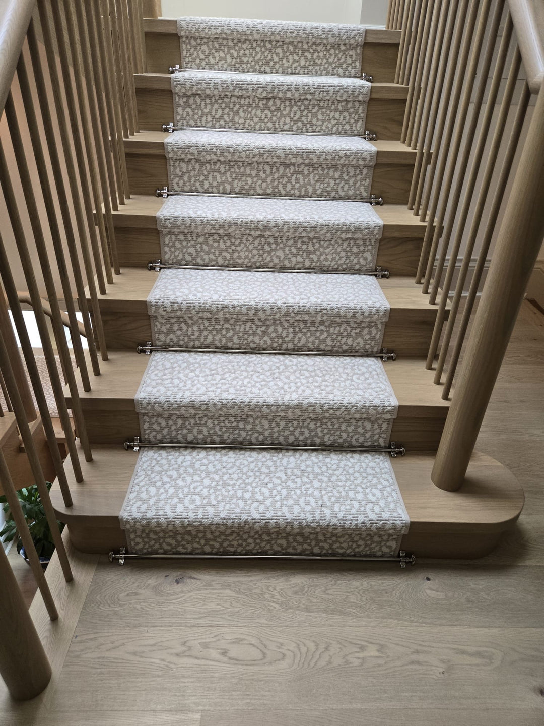 Savoy Leopard Stair Runner / Broadloom