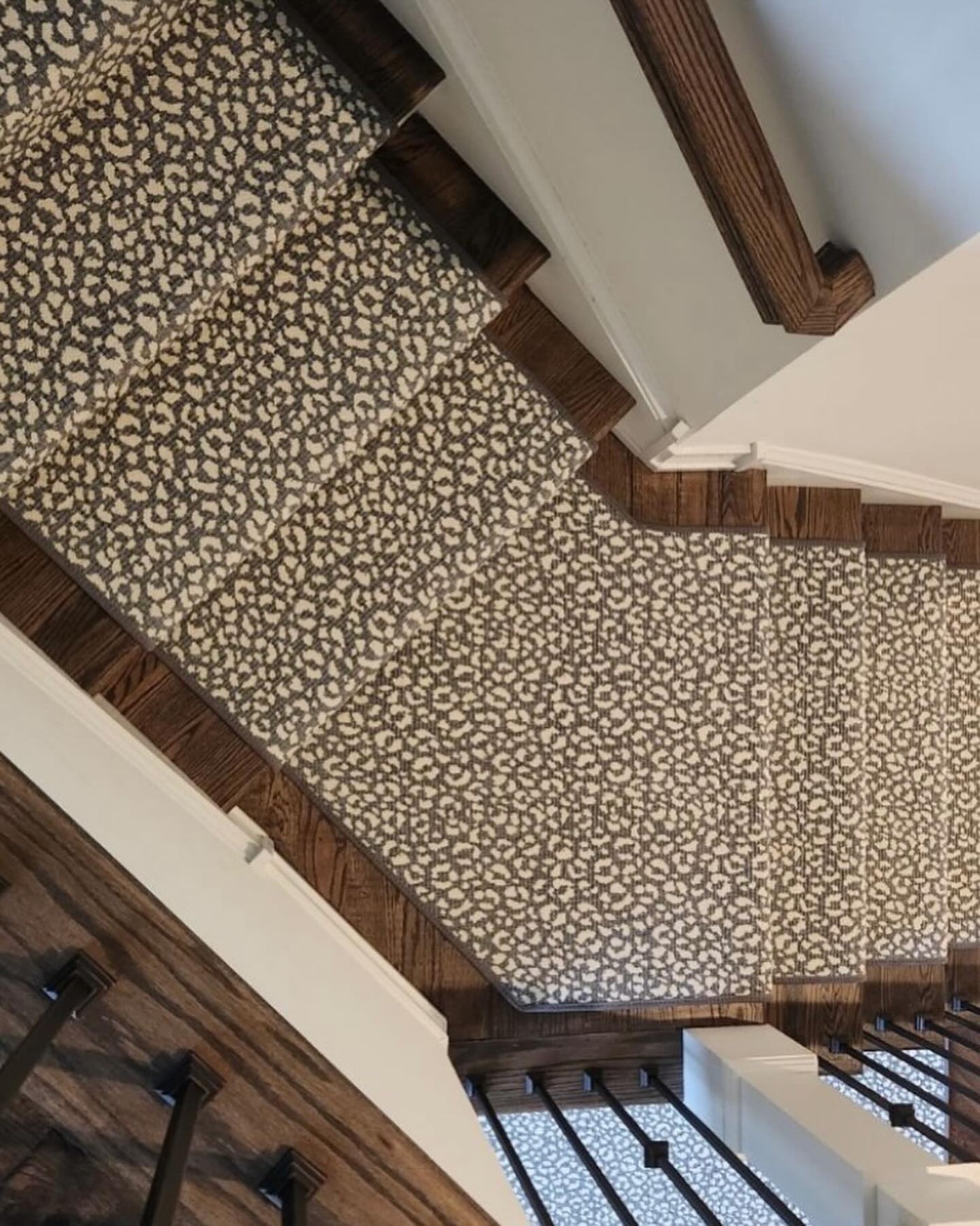 Savoy Leopard Stair Runner / Broadloom