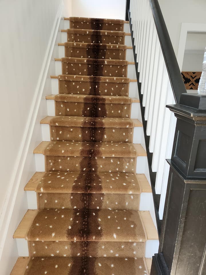 Exotic Escape I Stair Runner / Broadloom – Tapis Rugs & Carpet