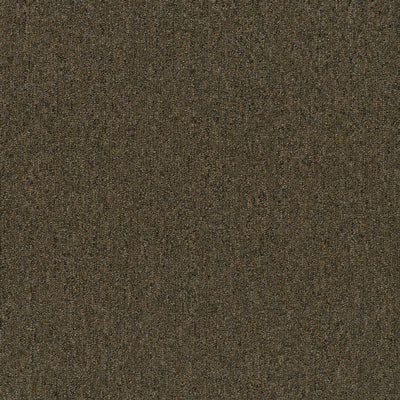 Stonewall Broadloom / Carpet Tile