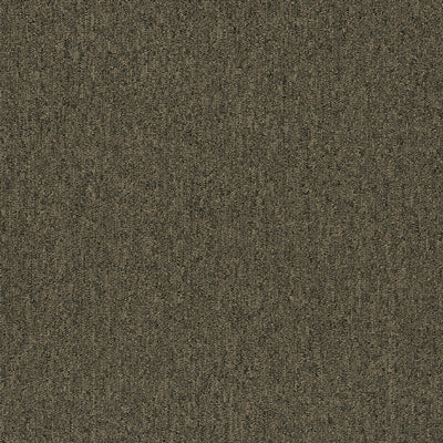 Stonewall Broadloom / Carpet Tile