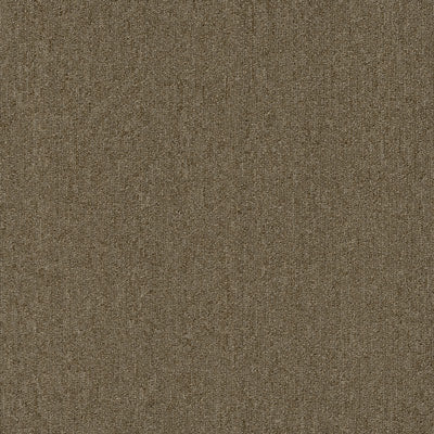 Stonewall Broadloom / Carpet Tile