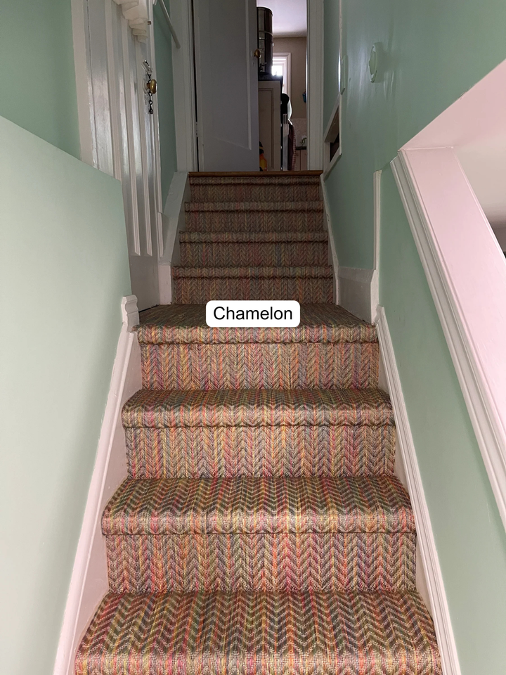 Belize Indoor Outdoor Stair Runner / Broadloom