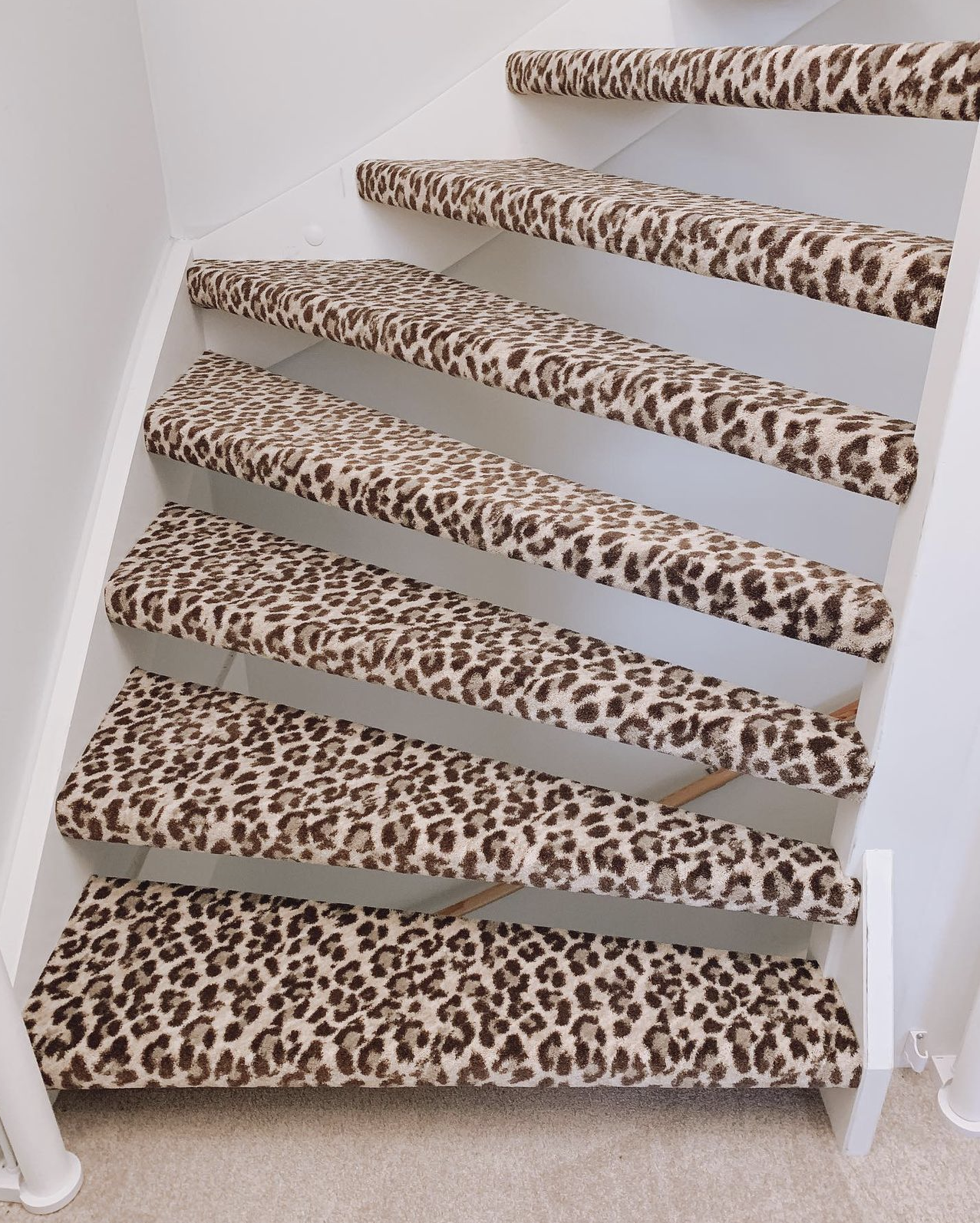 Leopard Stair Runner / Broadloom