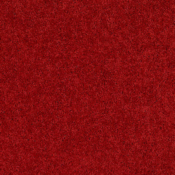 New Starter Broadloom / Stair runner