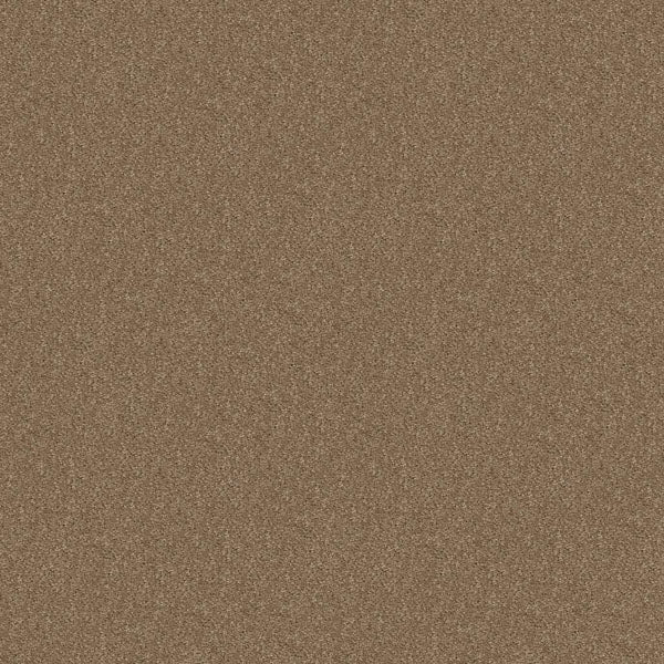 New Starter Broadloom / Stair runner