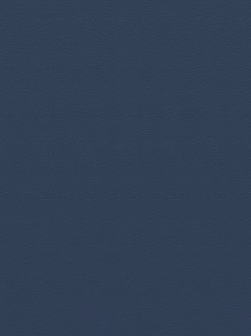 Mono commercial broadloom/ area rug