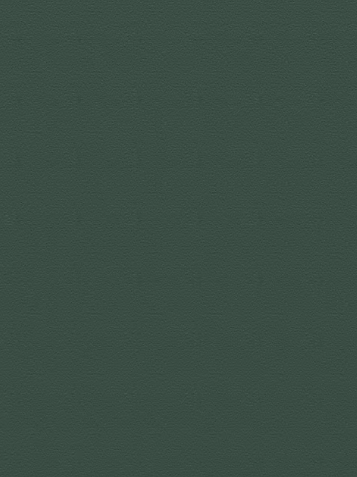 Mono commercial broadloom/ area rug