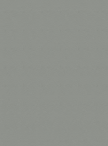 Mono commercial broadloom/ area rug
