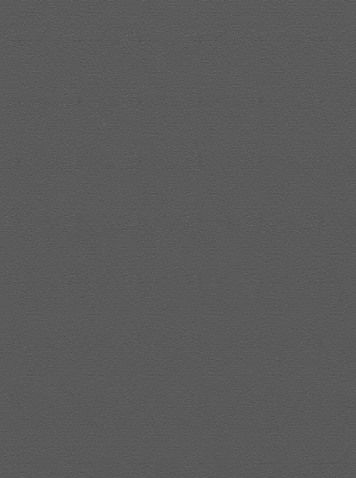 Mono commercial broadloom/ area rug