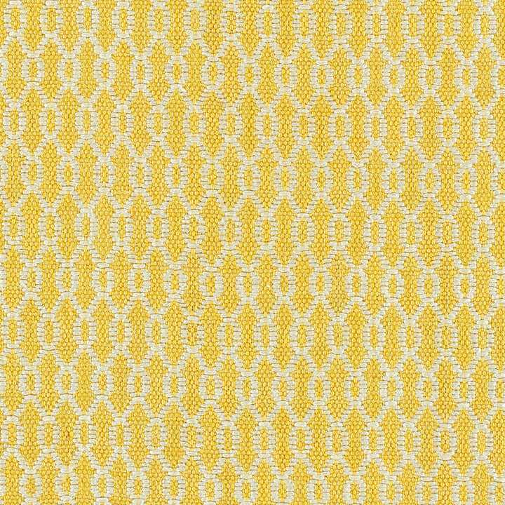 Ft. Frederica Indoor Outdoor Stair Runner / Broadloom