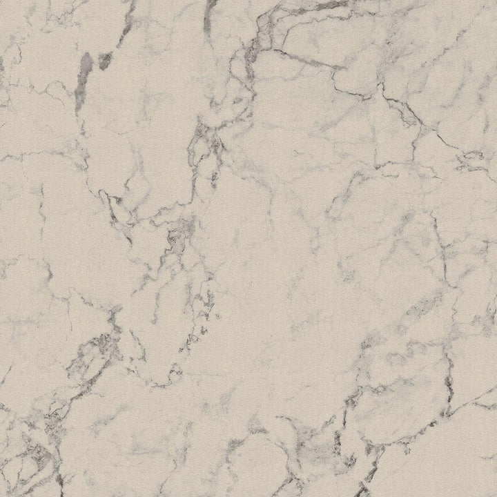 Cavatori commercial broadloom/ area rug