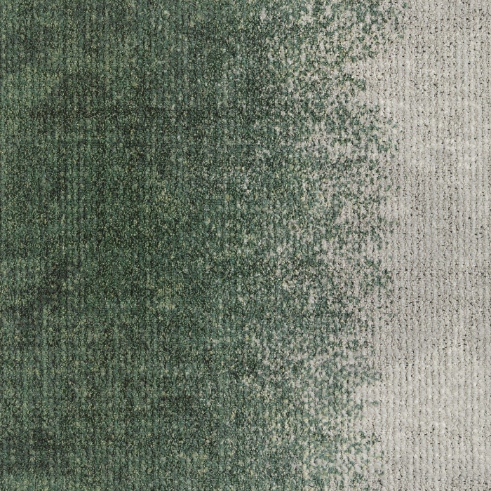 Transition Carpet Tile/Broadloom
