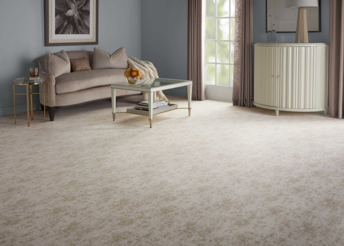 Elegance Abstract Commercial Broadloom/ Area rug