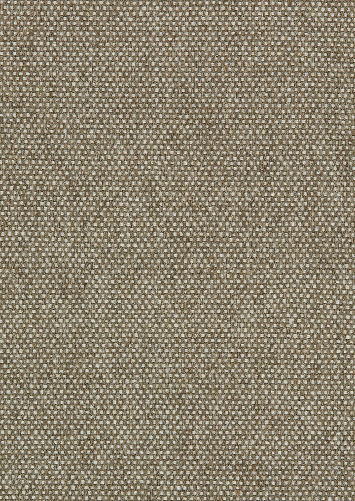 Cooper Island Stair Runner / Broadloom