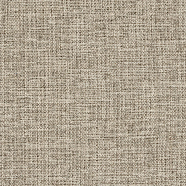 Foxy Stair Runner / Broadloom