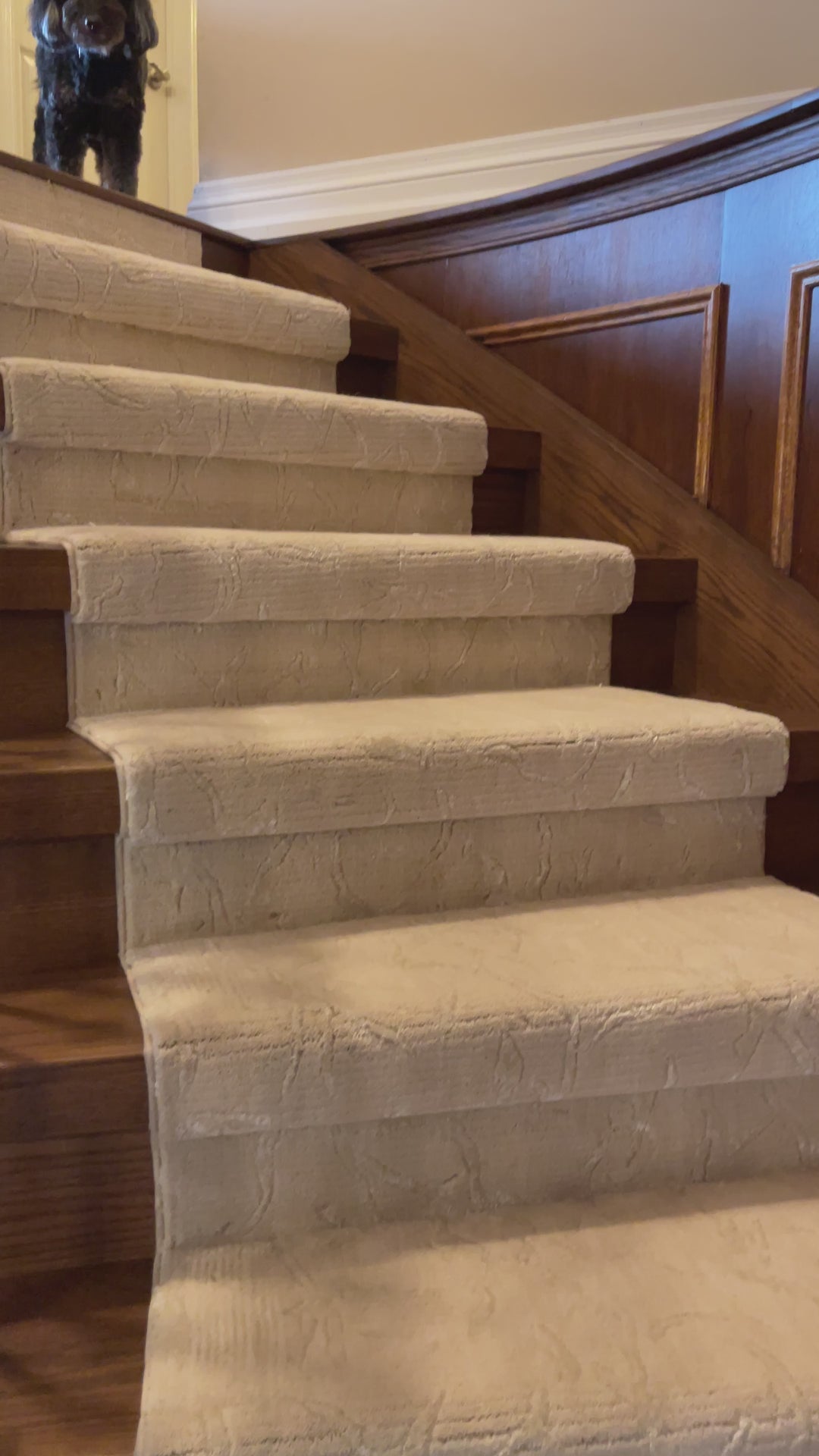 Nepal Himalaya Stair Runer / Broadloom Collection