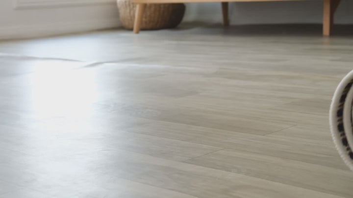 Temora Indoor/Outdoor Rug