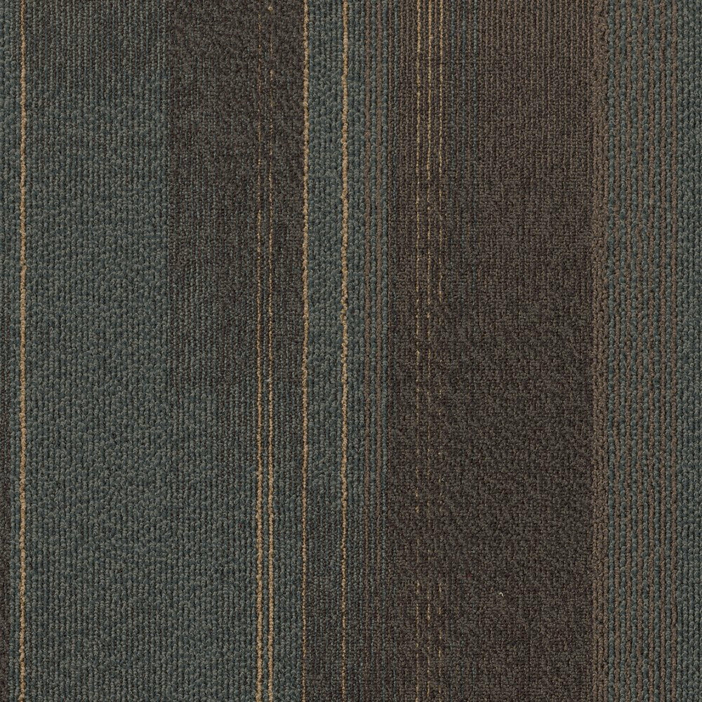 Panoramic Carpet Tile & Plank