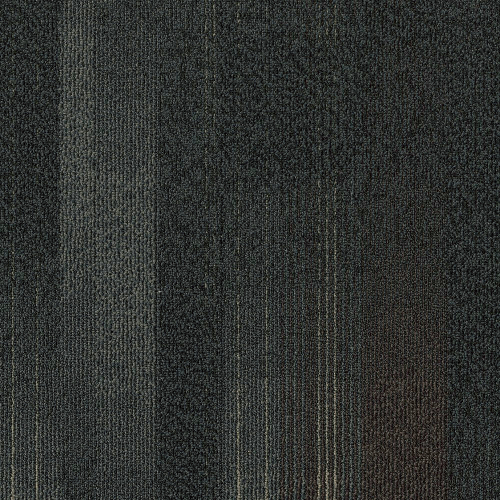 Panoramic Carpet Tile & Plank