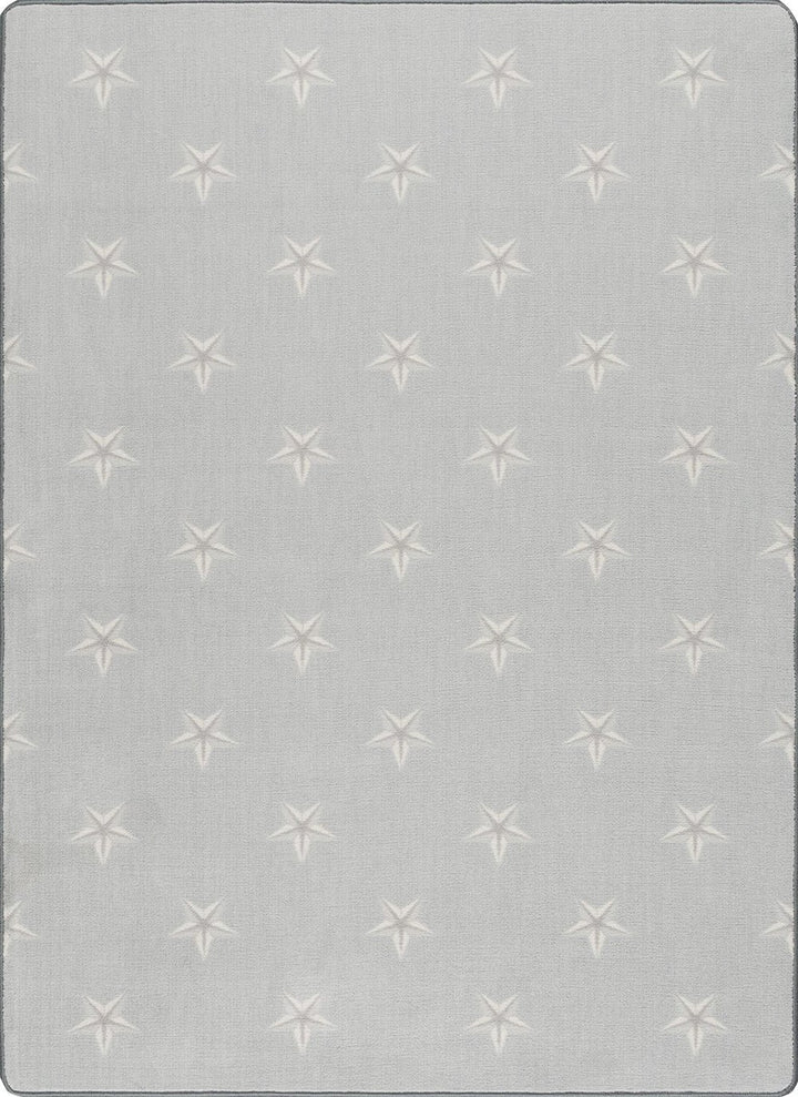 Allegheny Stair Runner / Broadloom Stair runner Shop Tapis Frost 