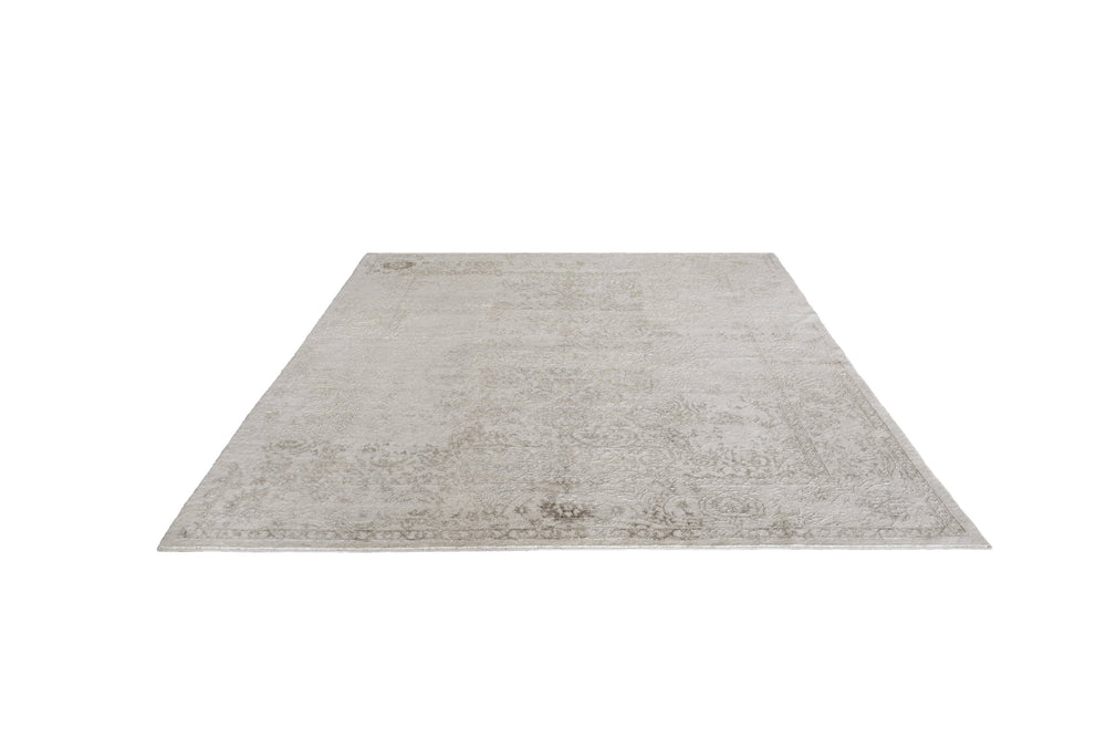 Erase Light Rug Transitional Shop Tapis 