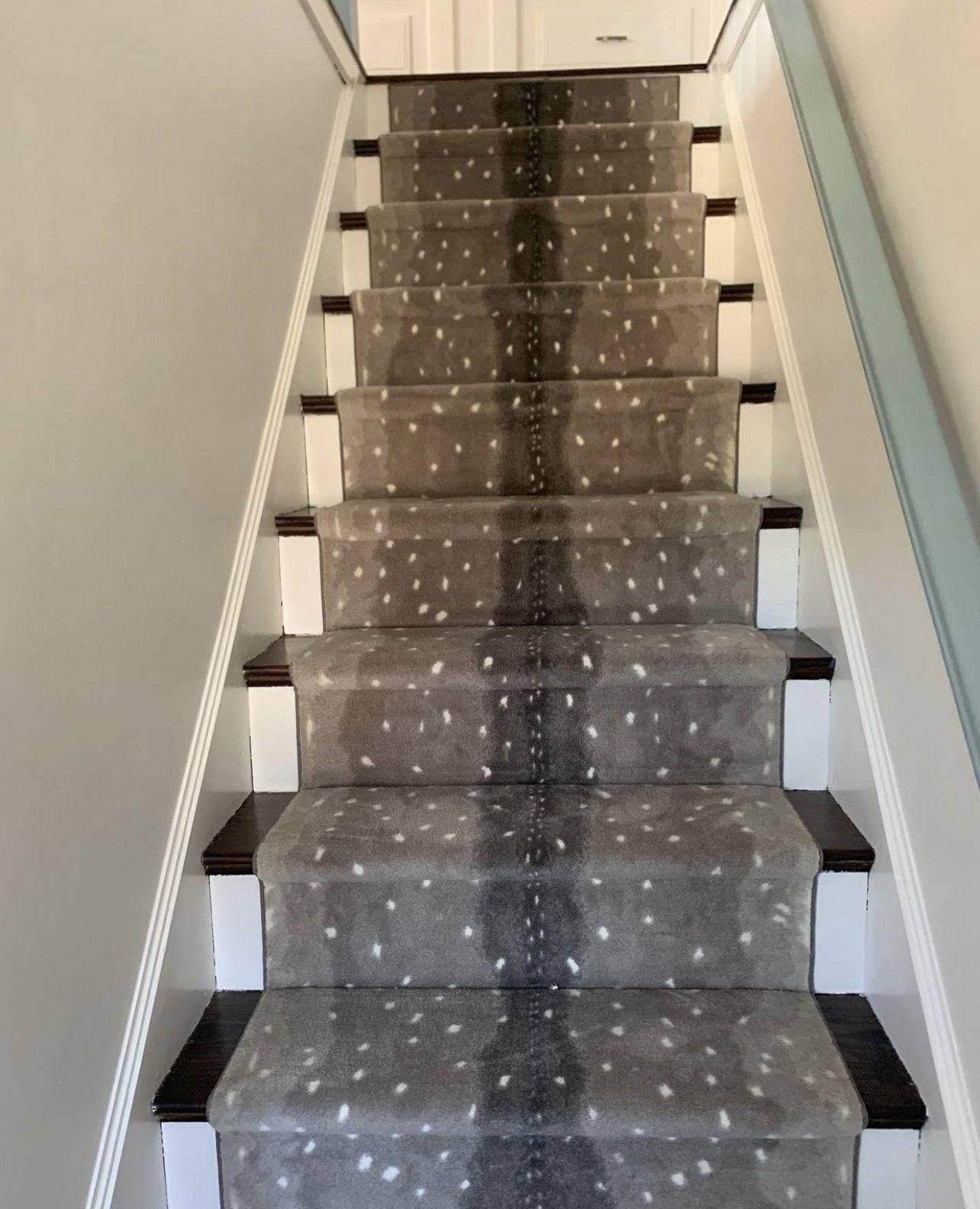 Exotic Escape I Stair Runner / Broadloom – Tapis Rugs & Carpet