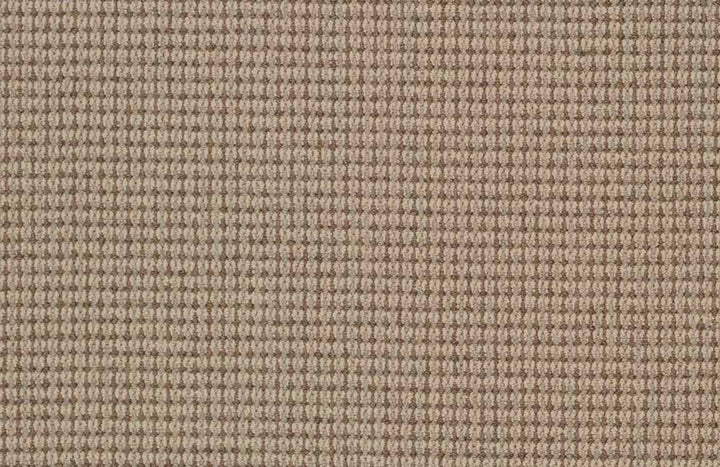 Expressions Nexus 2 Stair Runner / Broadloom Stair runner Shop Tapis Oat 