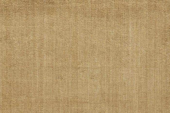 Grand Velvet Stair Runner / Broadloom runner Shop Tapis Beige 